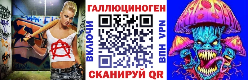 Псилоцибиновые грибы GOLDEN TEACHER Купить закладки Холмск